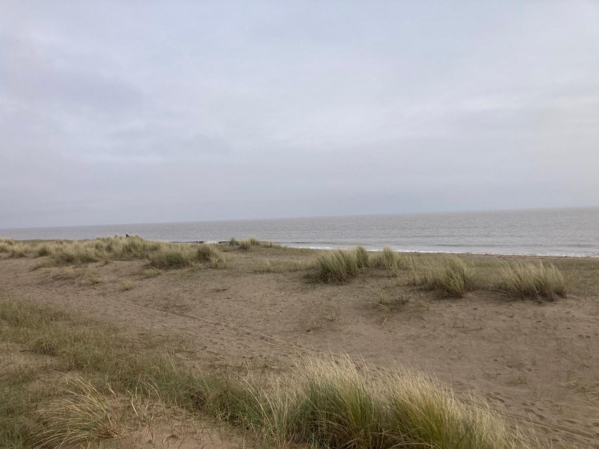 Pet Friendly Holiday Home On Golden Palm Skegness Kültér fotó